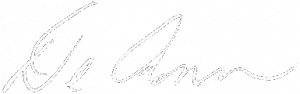 De Ann Signature